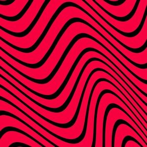 Meet your Posher, Lucy